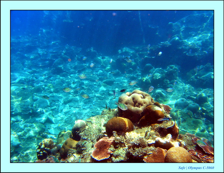 2005 - 08 - Perhentian  - 107.JPG